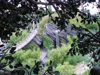 Click for the original image