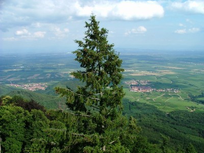 Click for the original image