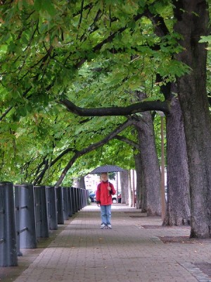 Click for the original image