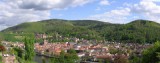 Heidelberg_1 * 1503 x 600 * (360KB)