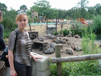 Click for the original image