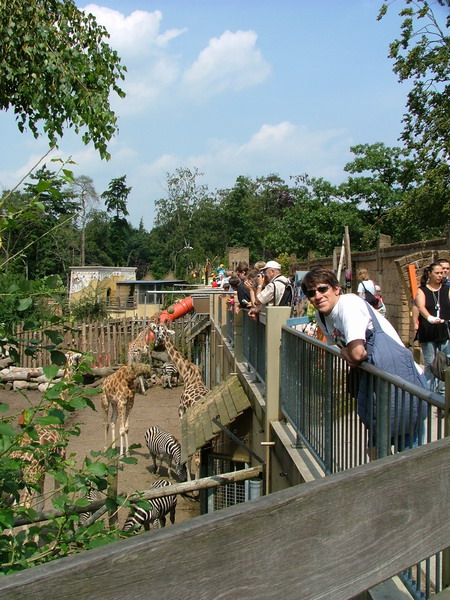 You have reached the last slide