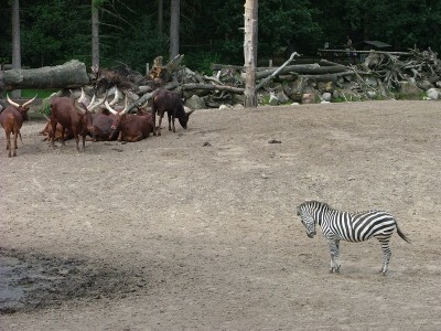 Click for the original image